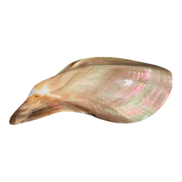 Sea Shell handmade Belt Buckle - Picture 1 of 8